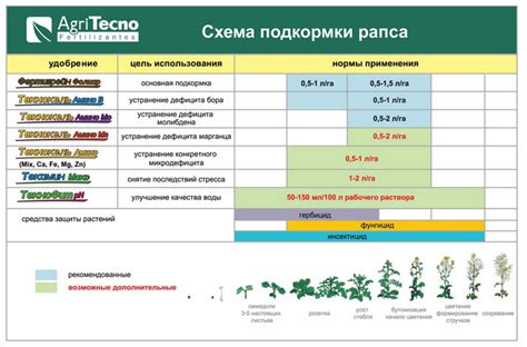 Рапс — АгроXXI