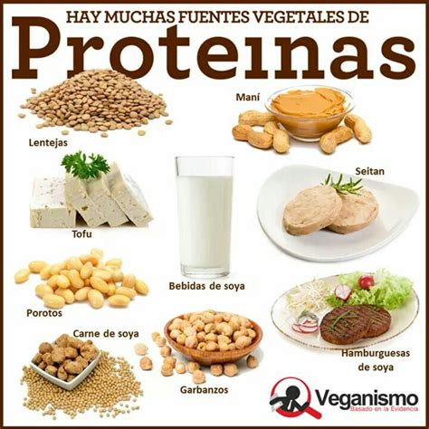 Proteinas Alimentos Con Proteinas Alimentos Nutrición