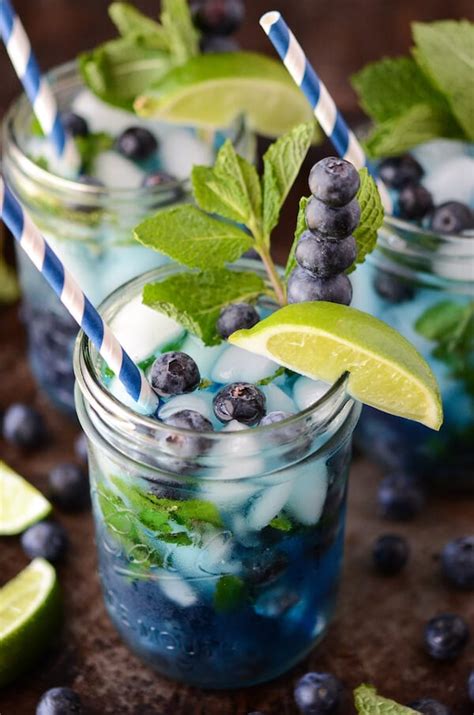 Blueberry Mojito The Novice Chef