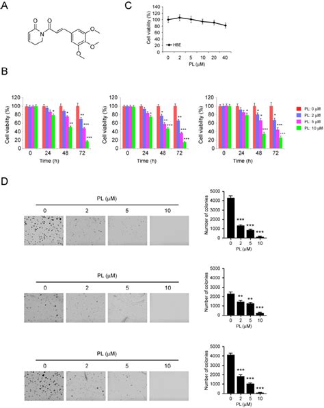 Inhibitory Effects Of Piperlongumine On Nsclc Cells A The Chemical