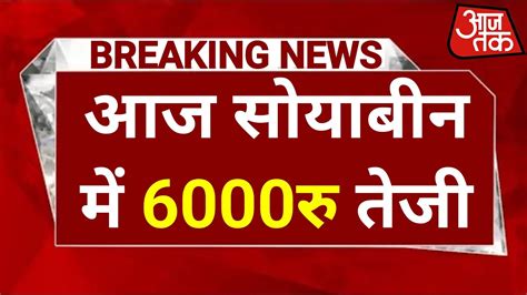 सोया प्लांट भाव 28 अप्रैल 2023 सोया प्लांट भाव लाइवsoya Plant Youtube