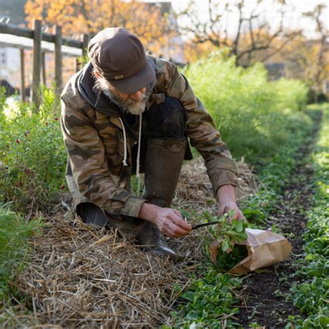 Ecologisch Tuinieren In November Groei Bloei