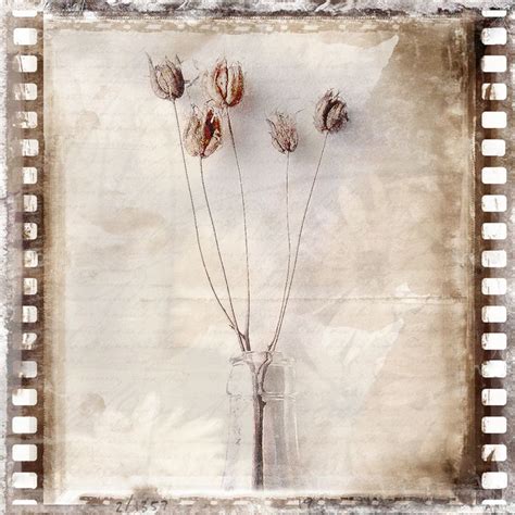 Dried Flowers Jewellery Photography Instagram Flowers Dried