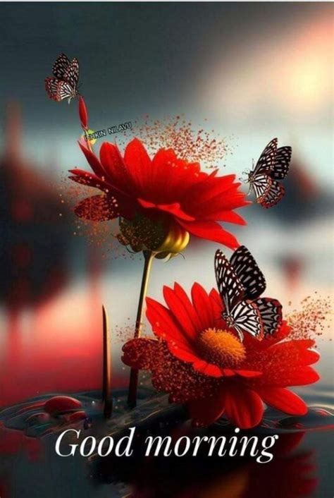 Good Morning Butterfly Have A Awesome Day Picture Good Morning Pictures