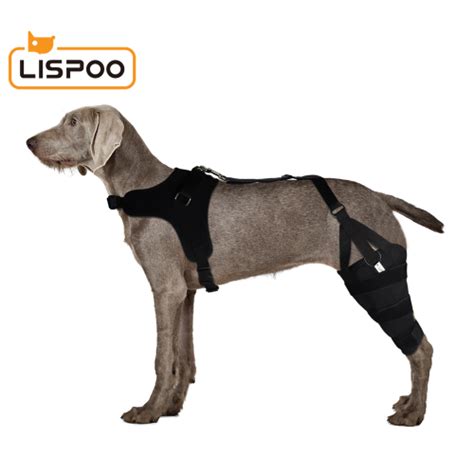 Best Dog Knee Support Brace For Sale Lovepluspet