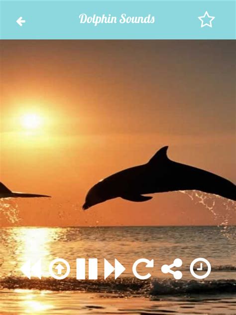 App Shopper: Dolphin Sounds Relax and Sleep With Calming Music (Healthcare & Fitness)