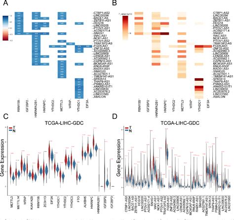 Figure 1 From The Prognostic Value Of A Lncrna Risk Model Consists Of 9