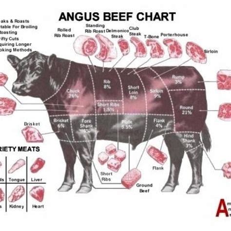 Collection 100 Pictures Diagram Of Meat Cuts On A Cow Excellent