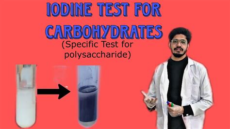 Iodine Test For Carbohydrates Youtube