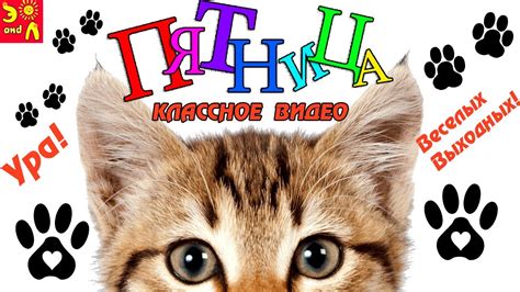 С ПЯТНИЦЕЙ! Замечательных Выходных! Весёлой пятницы! Песня с пятницей ...