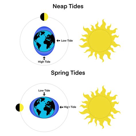 Tides, Moon, Sun and Earth, How sea tides are caused by the ...