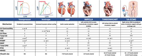 Value Of Hemodynamic Monitoring In Patients With Cardiogenic Shock