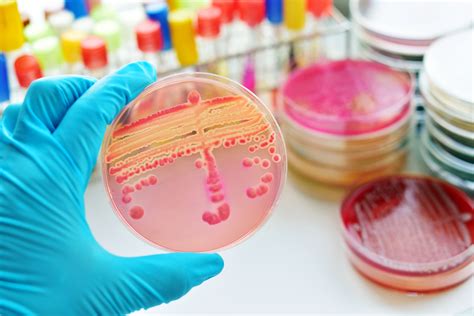 Potential Cystic Fibrosis Therapy Gets Fda Fast Track Approval