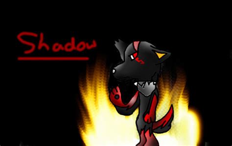 Shadow The Red Dog - shadow the hedgehog as a dog by ricothemutt on DeviantArt