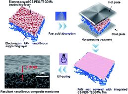 Low Pressure Uv Cured Cspeoptegdma Pan Thin Film Nanofibrous