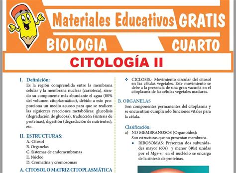 Estructura Del Citoplasma Para Cuarto Grado De Secundaria ≫ Gratis