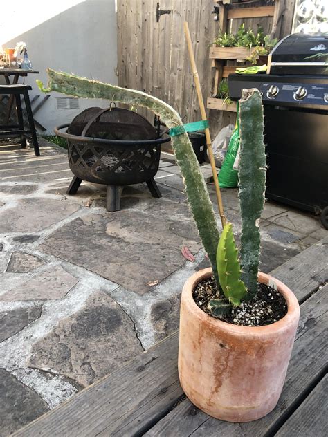 Seeking advice re: tipping and propping? | Scrolller