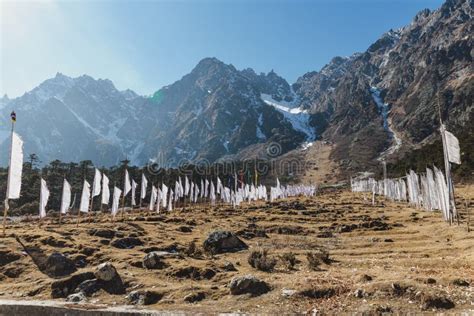 Yumthang Valley With Tibetan Prayer Flags On Grass Field In Winter At