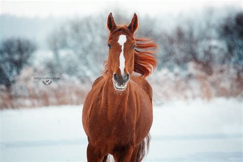 Зипа on Behance