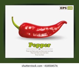 Red Hot Chili Pepper Isolated On Stock Vector Royalty Free Shutterstock