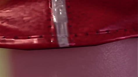 Futa Taker Videos XVIDEOS