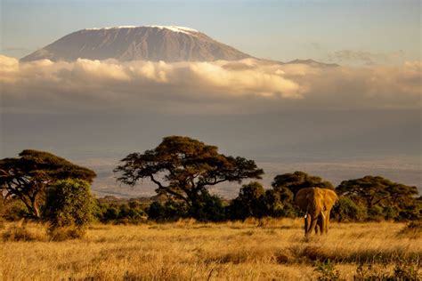 Hiking Mount Kilimanjaro? Read This Before You Start Planning.