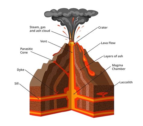 Vector Infographic Illustratie Dwarsdoorsnede Van De Vulkaan Premium