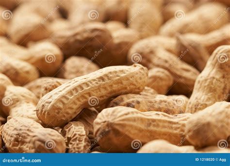 Arachide Photo Stock Image Du Cuisinier Foodstuff Horizontal