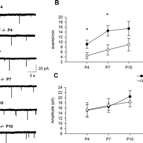 Perturbed Development Of Glutamatergic Input To CA1 Pyramidal Neurons