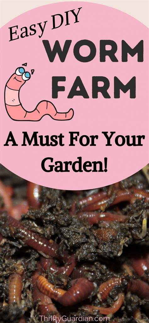 How to start your own worm farm using a tote. Create your own compost ...