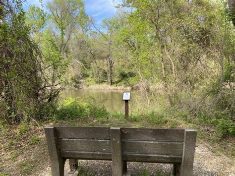 2023 Best Wheelchair Friendly Trails In Sequoyah National Wildlife