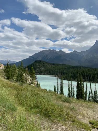 10 Best Hikes and Trails in Kootenay Plains Ecological Reserve | AllTrails