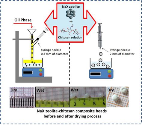 Schematic Preparation Of Chitosannax Zeolite Composites Download