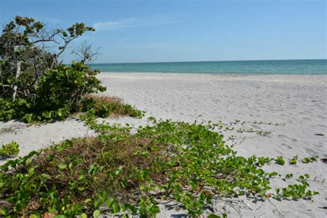 Stump Pass Beach State Park – Florida Hikes