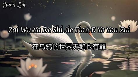 Zai Wu Ya De Shi Jie Tian E Ye You Zui 在乌鸦的世界天鹅也有罪 Ye Xiao Xuan 叶筱萱 Lyrics Youtube