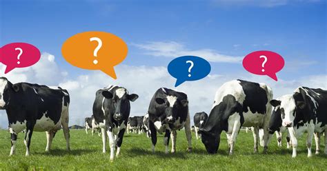 Frequently Asked Questions Rspca Assured