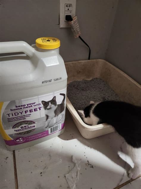 Purina Tidy Cats Tidy Feet Clumping Unscented Low Tracking Cat Litter