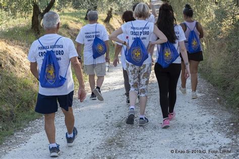 Passeggiata Del Donatore Quarta Edizione A Limite Sull Arno