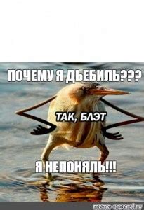 Создать мем "Так блэт (Так блэт, птица так блэт, так блэт птичка ...