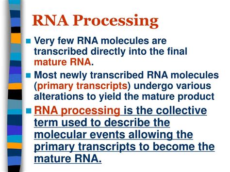 Ppt Rna Processing And Rnps Powerpoint Presentation Free Download