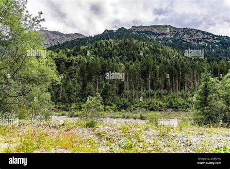 Großer Alpsee das vielseitige Naturerlebnis im Oberallgäu der Große