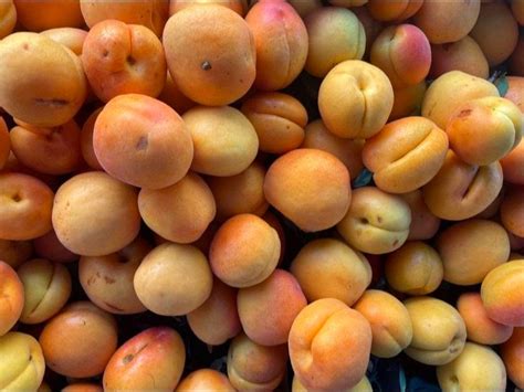 Stone Fruit And Sundays Chico Certified Farmers Market