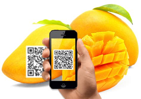 Đăng Ký Mã QR Code Truy Xuất Nguồn Gốc Chất Lượng Việt