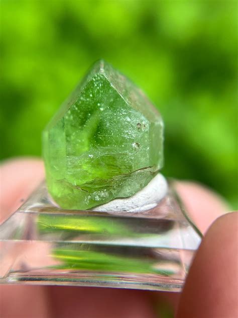 Smithsonian Quality Large Twin Peridot Crystal From Himalayas 40 Grams