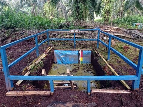Layakkah Lahan Gambut Digunakan Untuk Perkebunan Kelapa Sawit Tropis