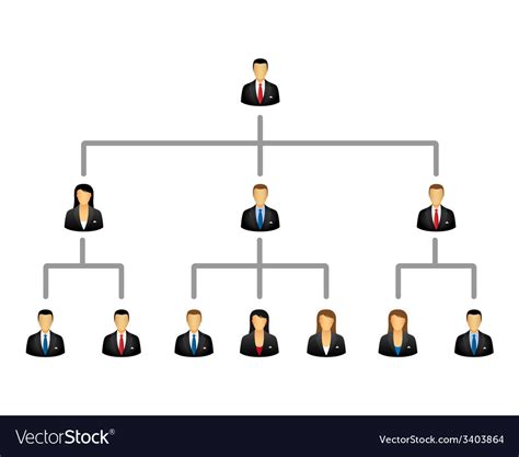 Business hierarchy structure Royalty Free Vector Image