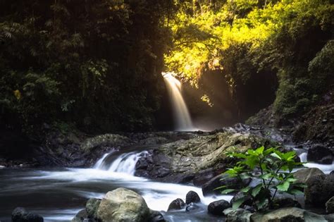 Una Cascada En La Jungla Con El Sol Brillando A Trav S De Las Hojas