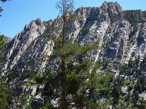 Boulder Lake To East Carson River Trail On The Pacific Crest Trail