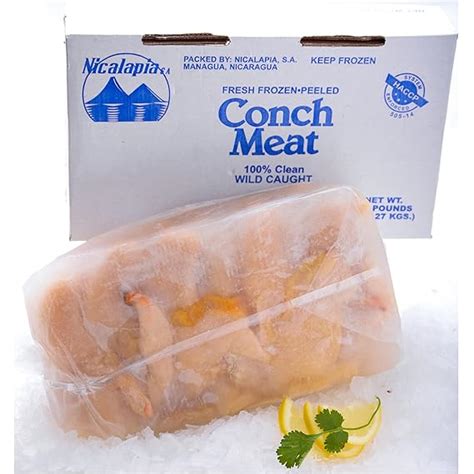 Conch Meat 5 Lb Grocery And Gourmet Food