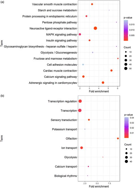 Visualizations Of Significantly Enriched Terms A Kegg Pathways B